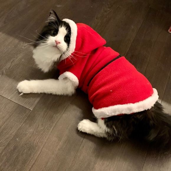 Other - PET clothes Christmas Santa costume for cat and small dog cute red white hooded